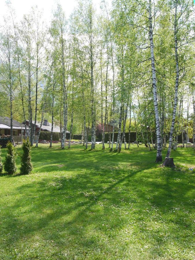 Chalet Champraz - Free Parking Chamonix Exterior foto